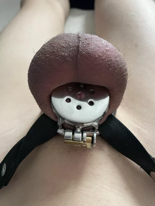 What are the risks of blood restriction?