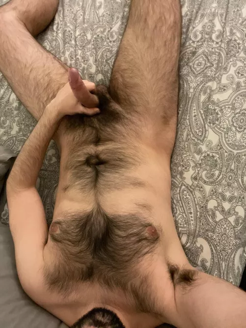 Who wants to have fun?