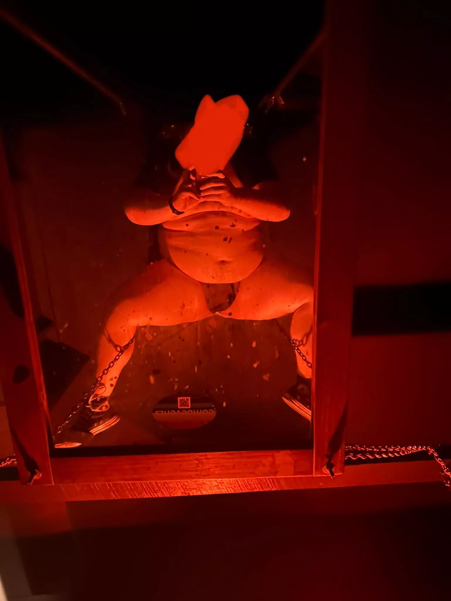 Would you breed me in this sling?