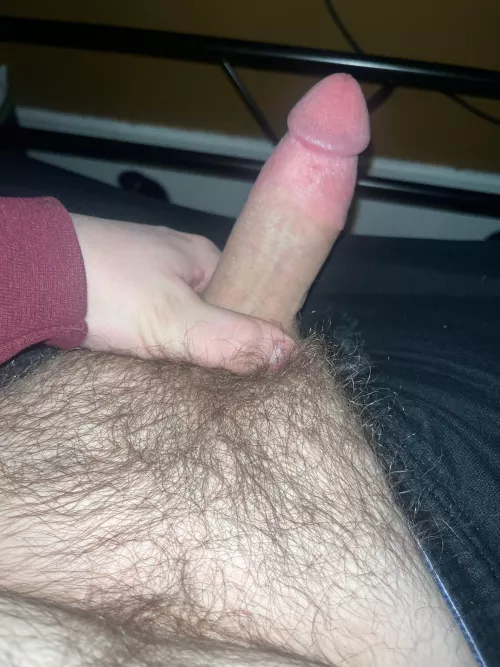 18 dm horny