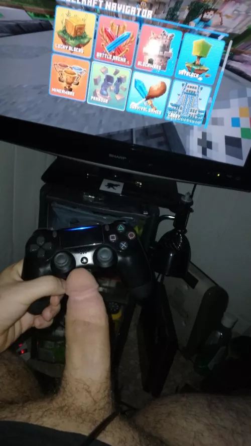 Anyone wanna play minecraft with me ?