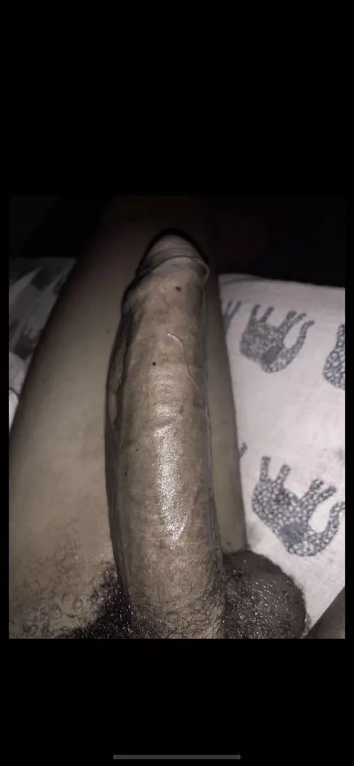 Come feed this bbc sluts