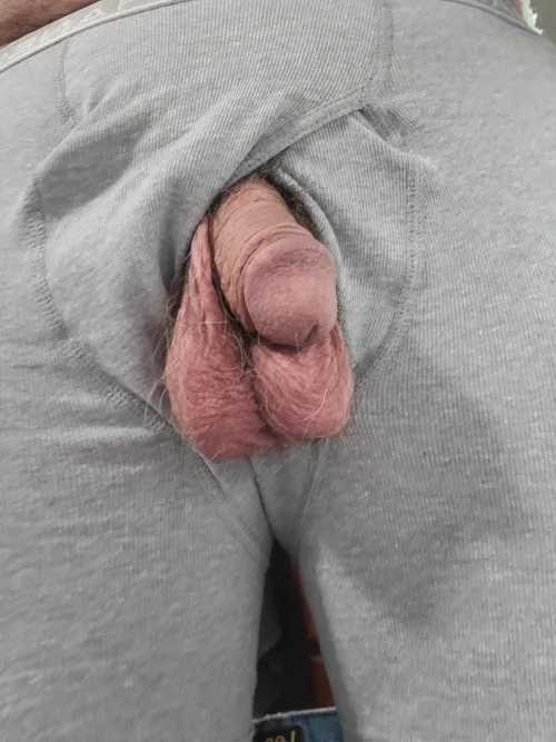 Couldn't resist pulling him out for a pic