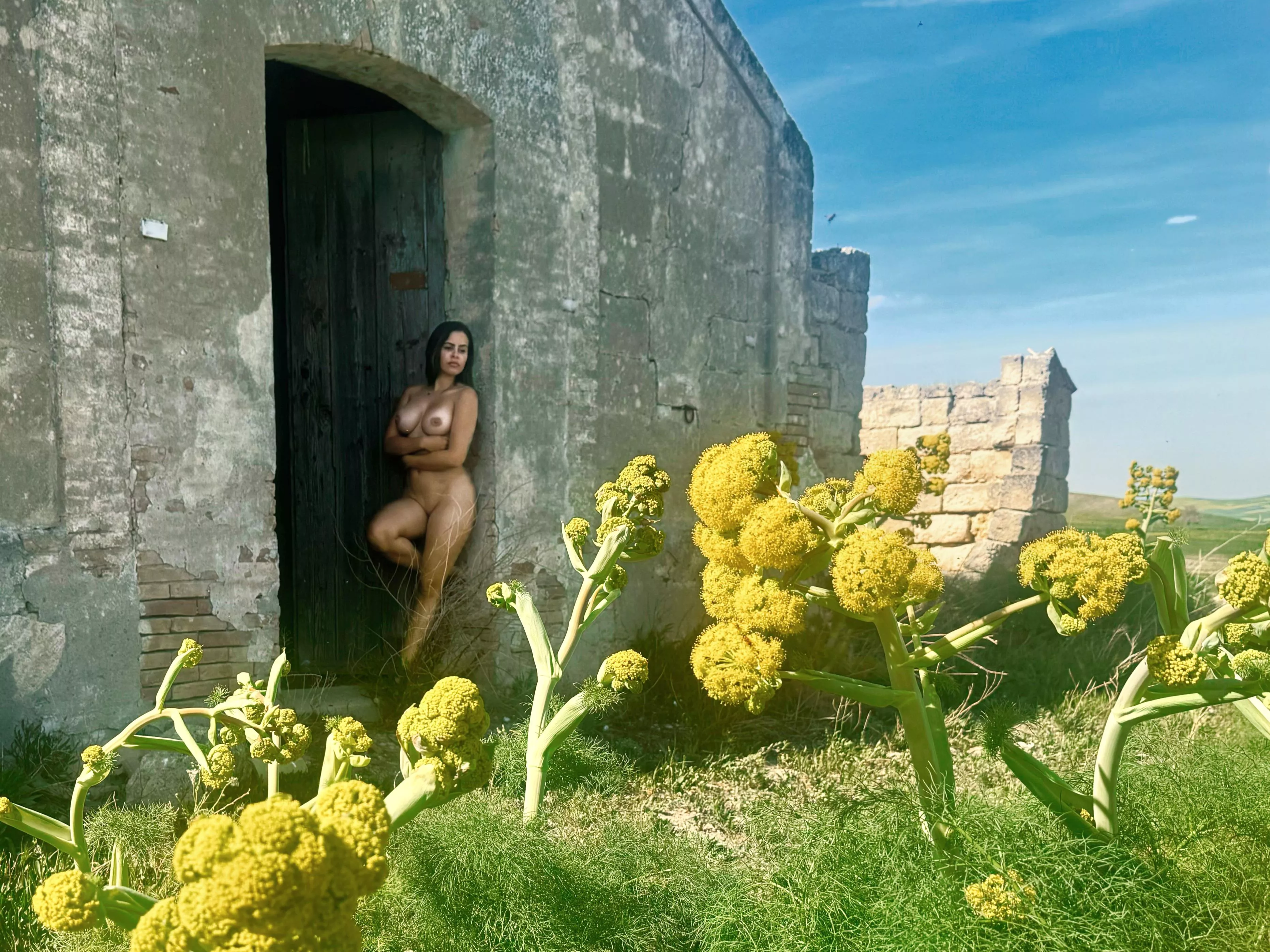 Found an abandoned building out in a field!