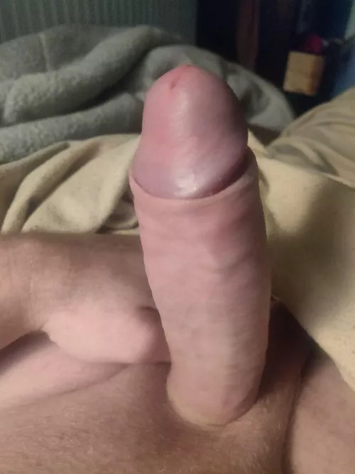 Fresh all natural ginger sausage born on the farm.