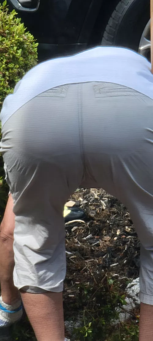 I love my mother in laws ass 