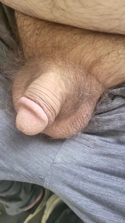 I'm new please be kind