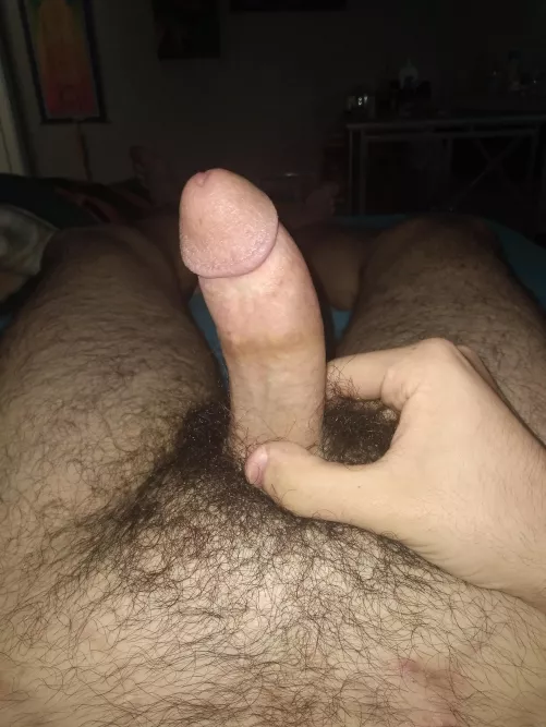 My cock on a bed of fur