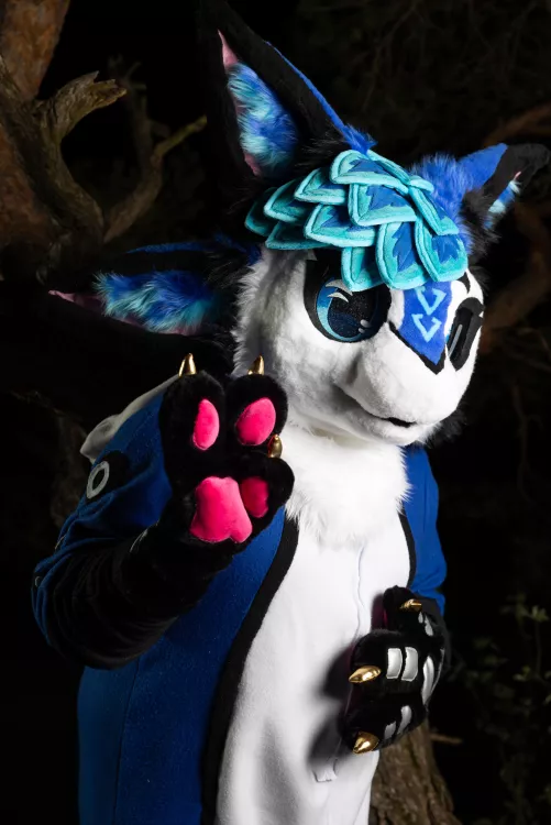 My first fursuitfriday~💙