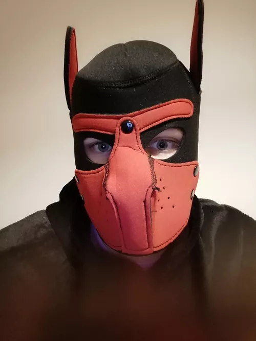 My first Puppy pic 🤭 