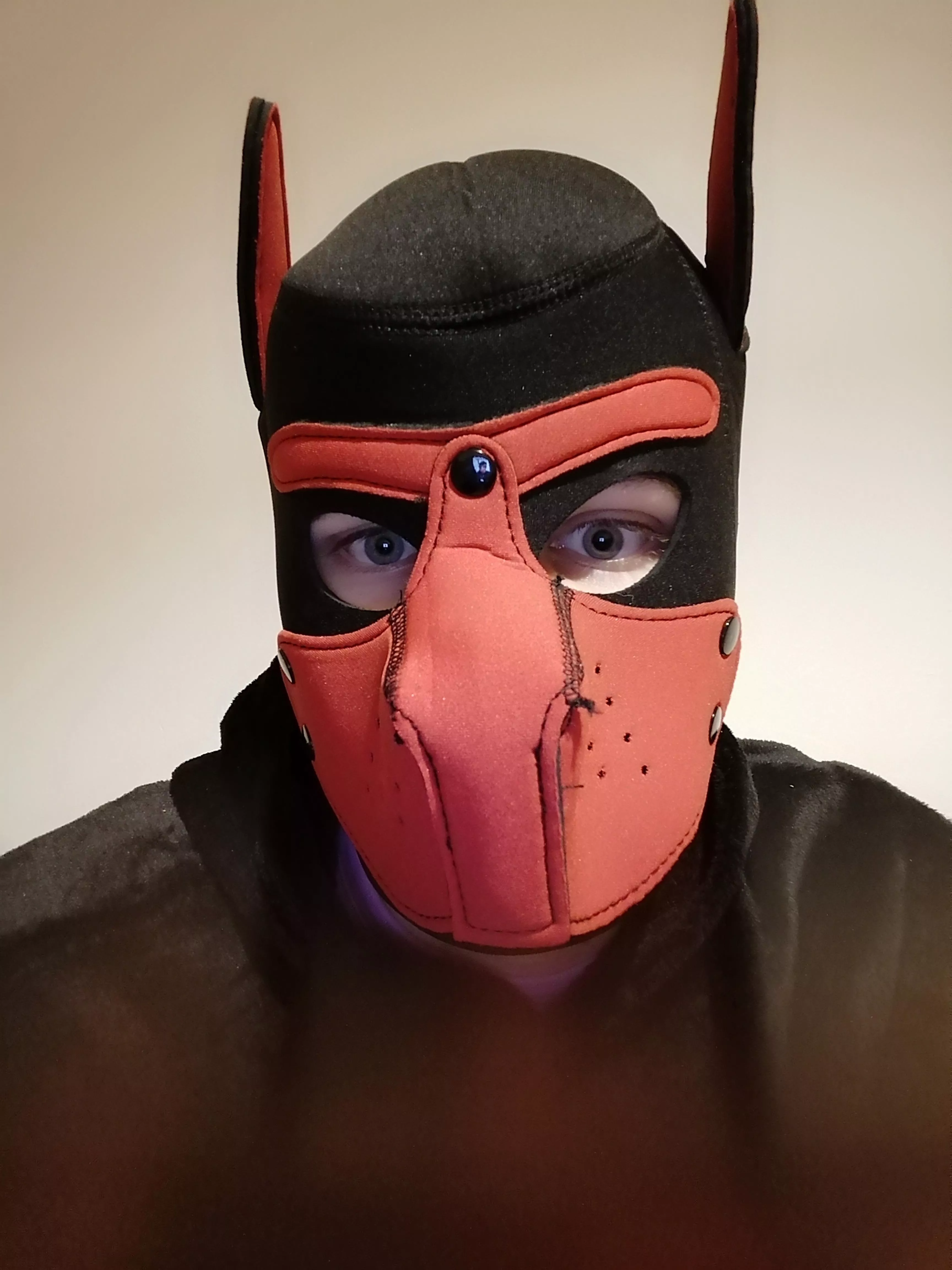 My first Puppy pic 🤭 