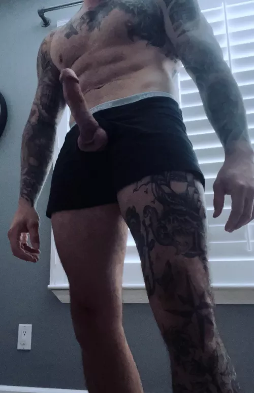 Poking though my briefs