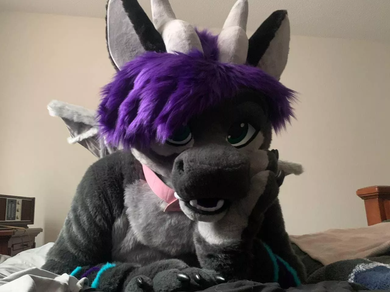 Readying myself for the next con.