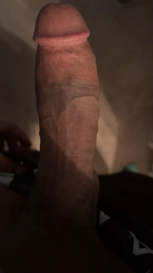 Spit on it before you sit on it