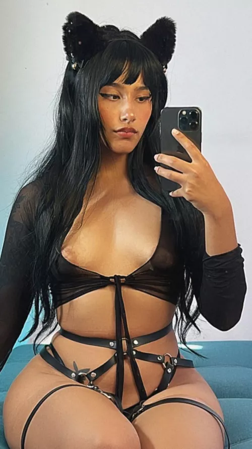 Study Anatomy with me