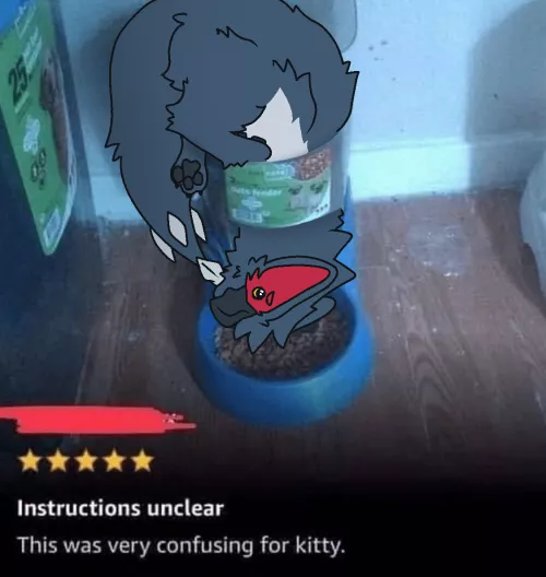 This was very confusing for the cuga.. (By @RuiOnRollers)