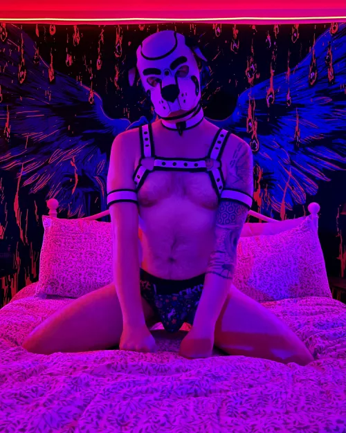 Took some wonderful photos I can’t wait to share. 