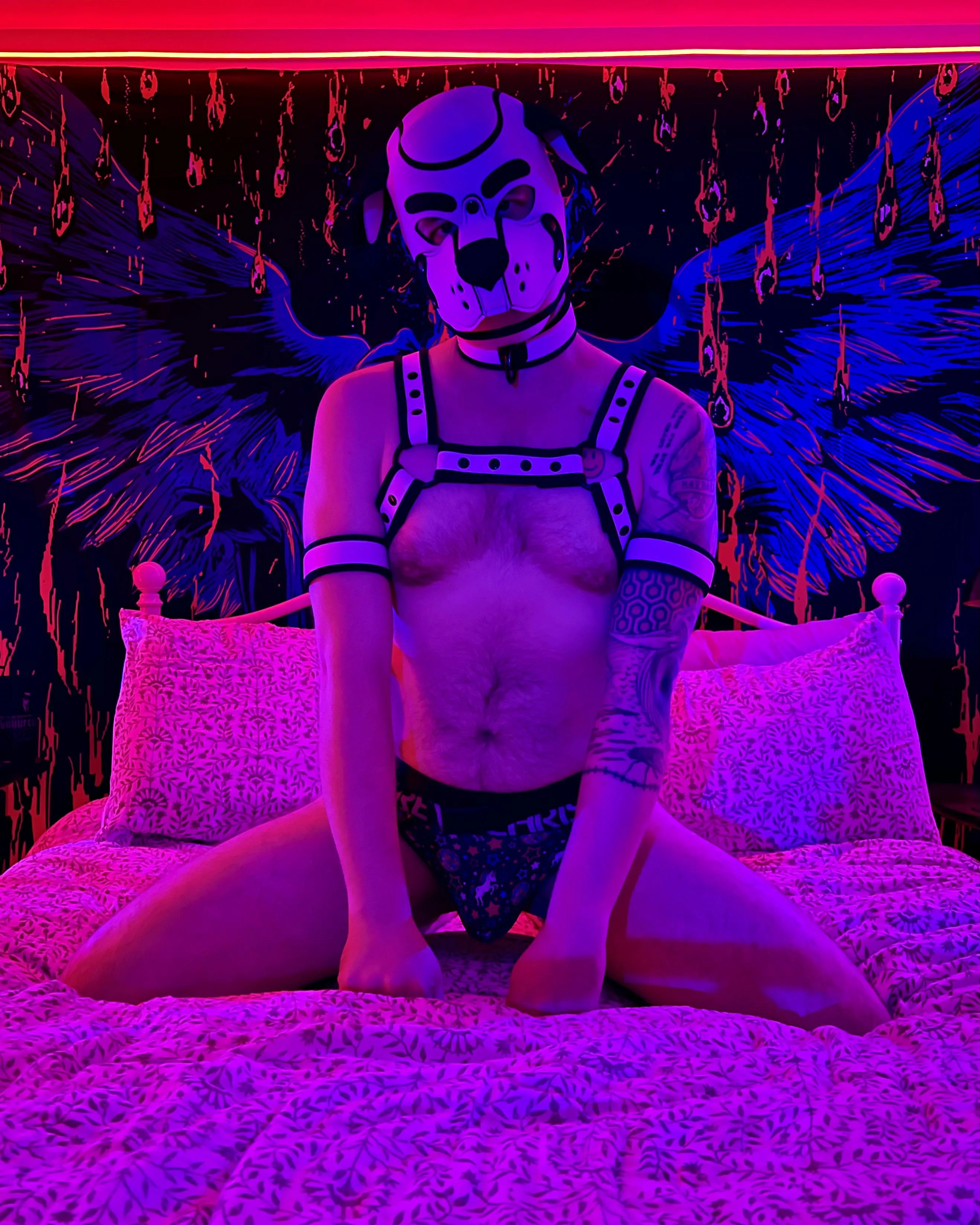 Took some wonderful photos I can’t wait to share. 