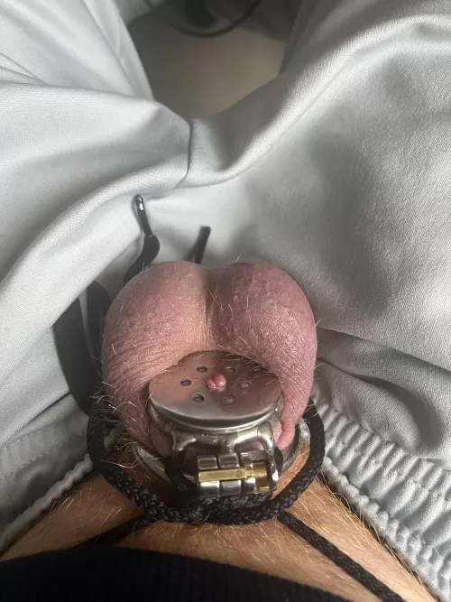 Used to be 8 inches but gf forced me into flat cage.. 🤏