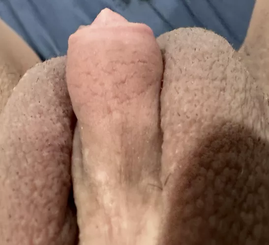 Wanna eat me suck me anything else