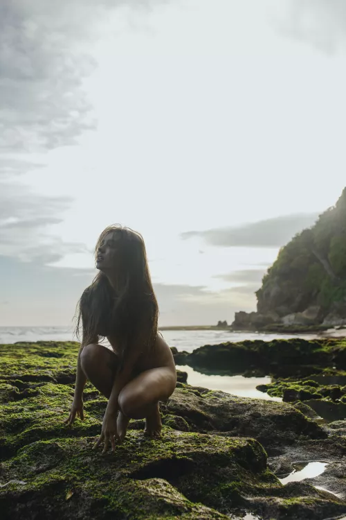 Wild me by Anastasia Mihaylova