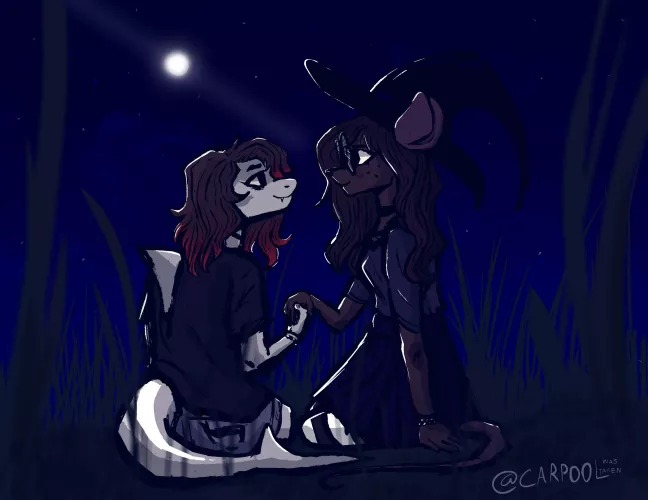 A silly shark and a witchy mouse watching the stars 💫