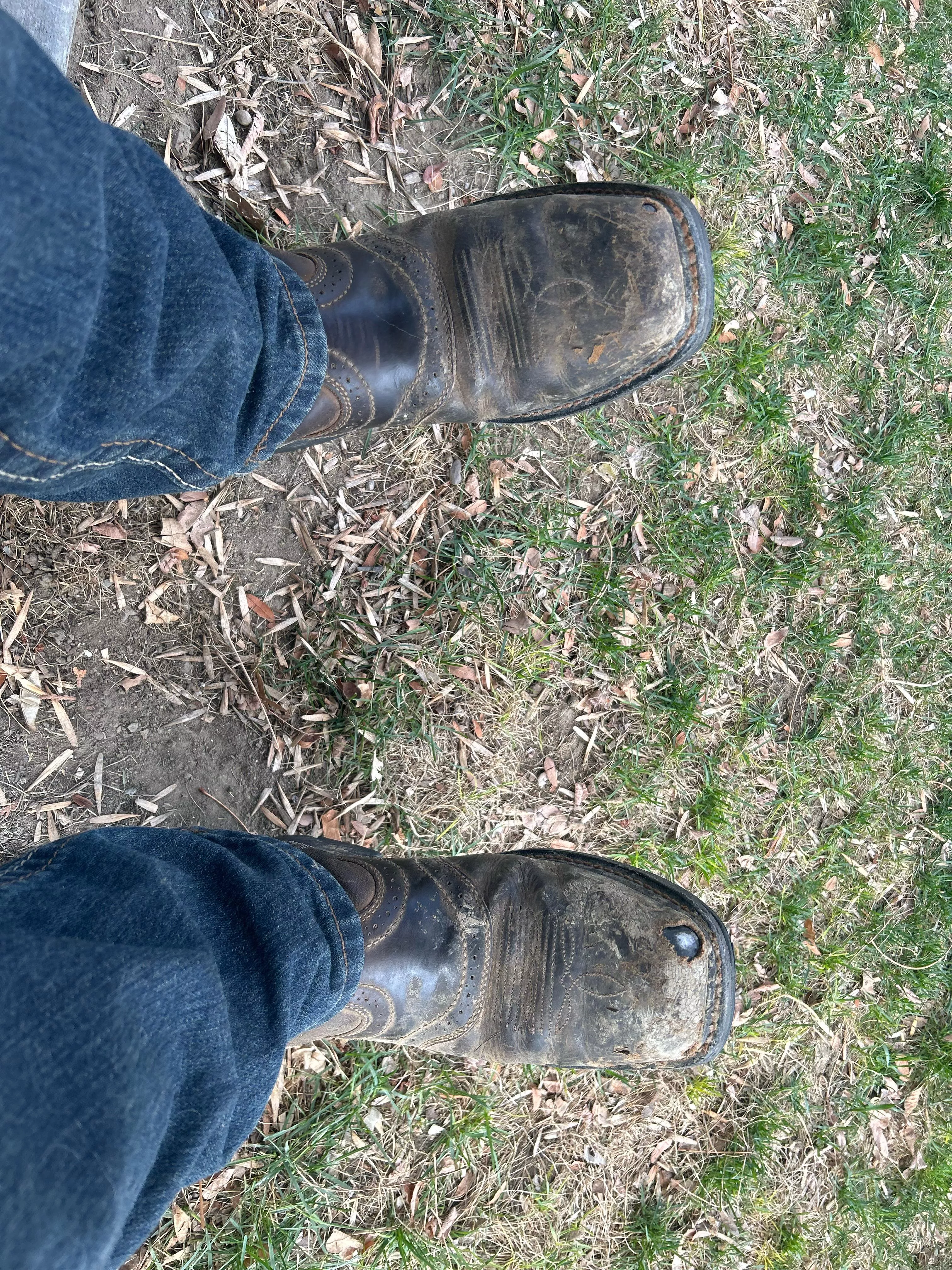 Best brand for affordable new boots?