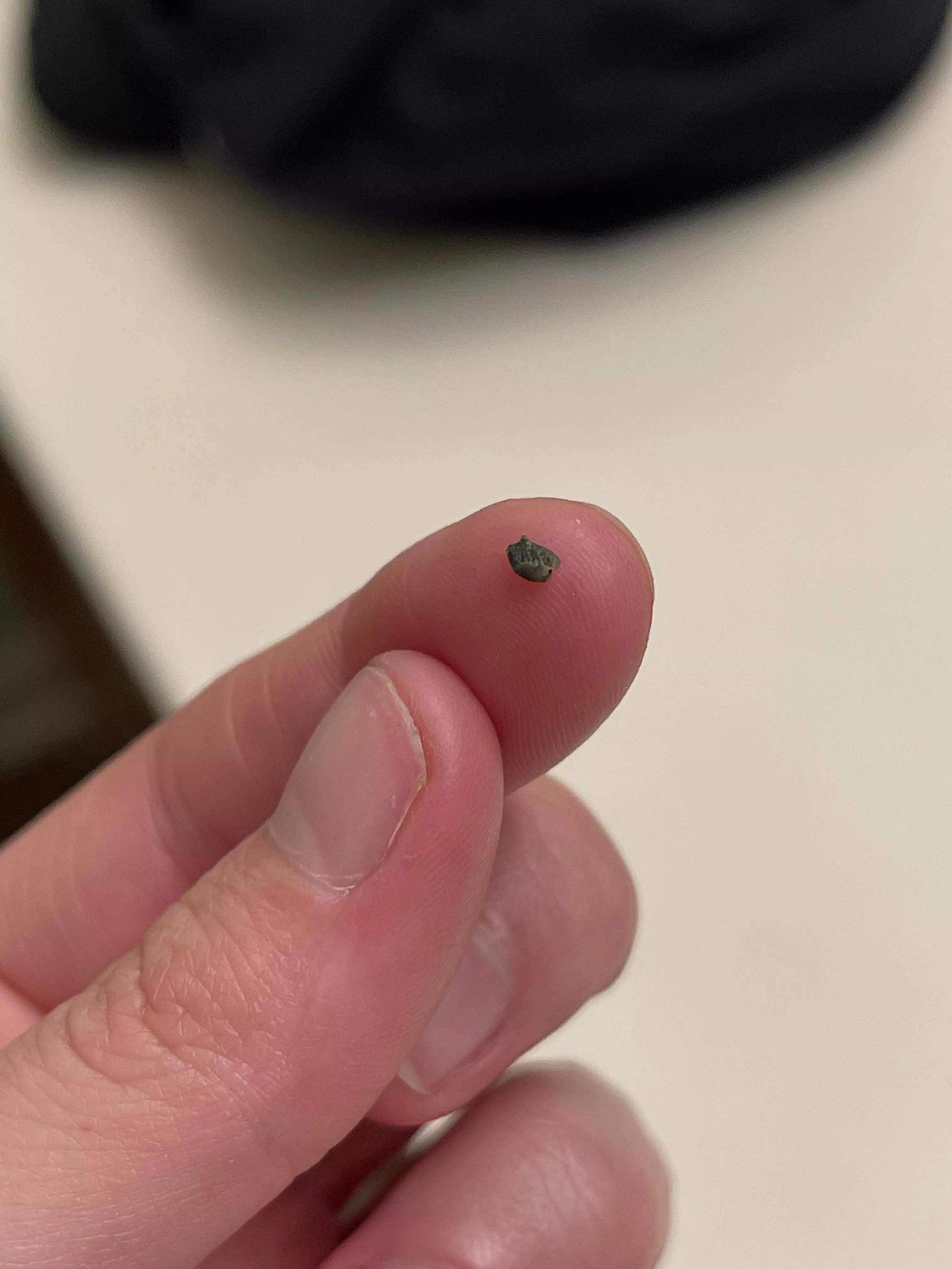 Black chunk squeezed out of ear piercing hole