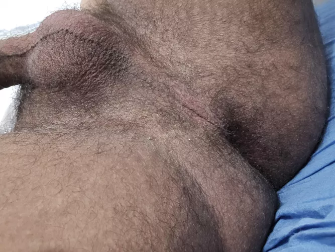 Can i sit in your face ?