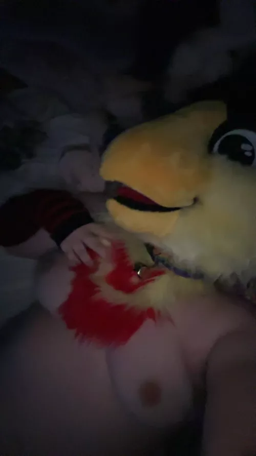 Come enjoy this pretty bird~ {she/he} 