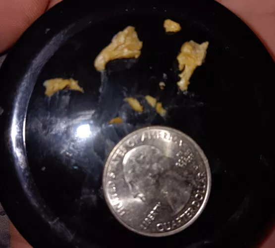 Even with regular ent cleanings, I pull this out of my kids (7yo) at least once a month. 