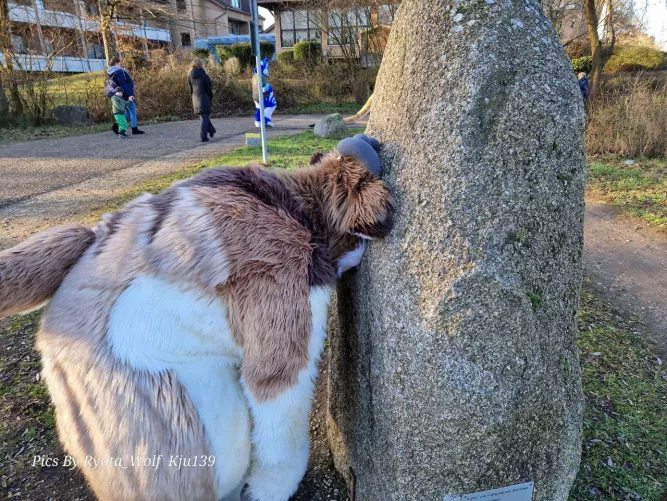 Hello? Are you in there? 