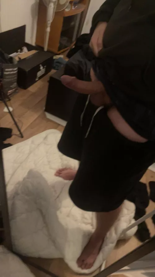 Hmu we both know i should be breeding her rn