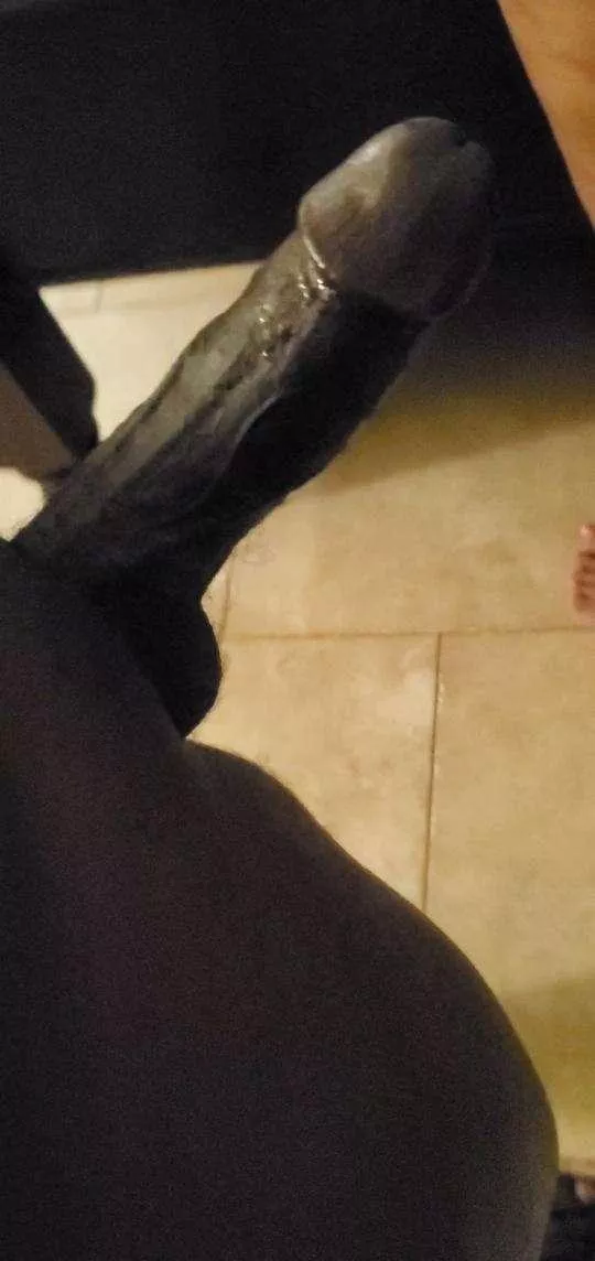 Look at the head on this monster 