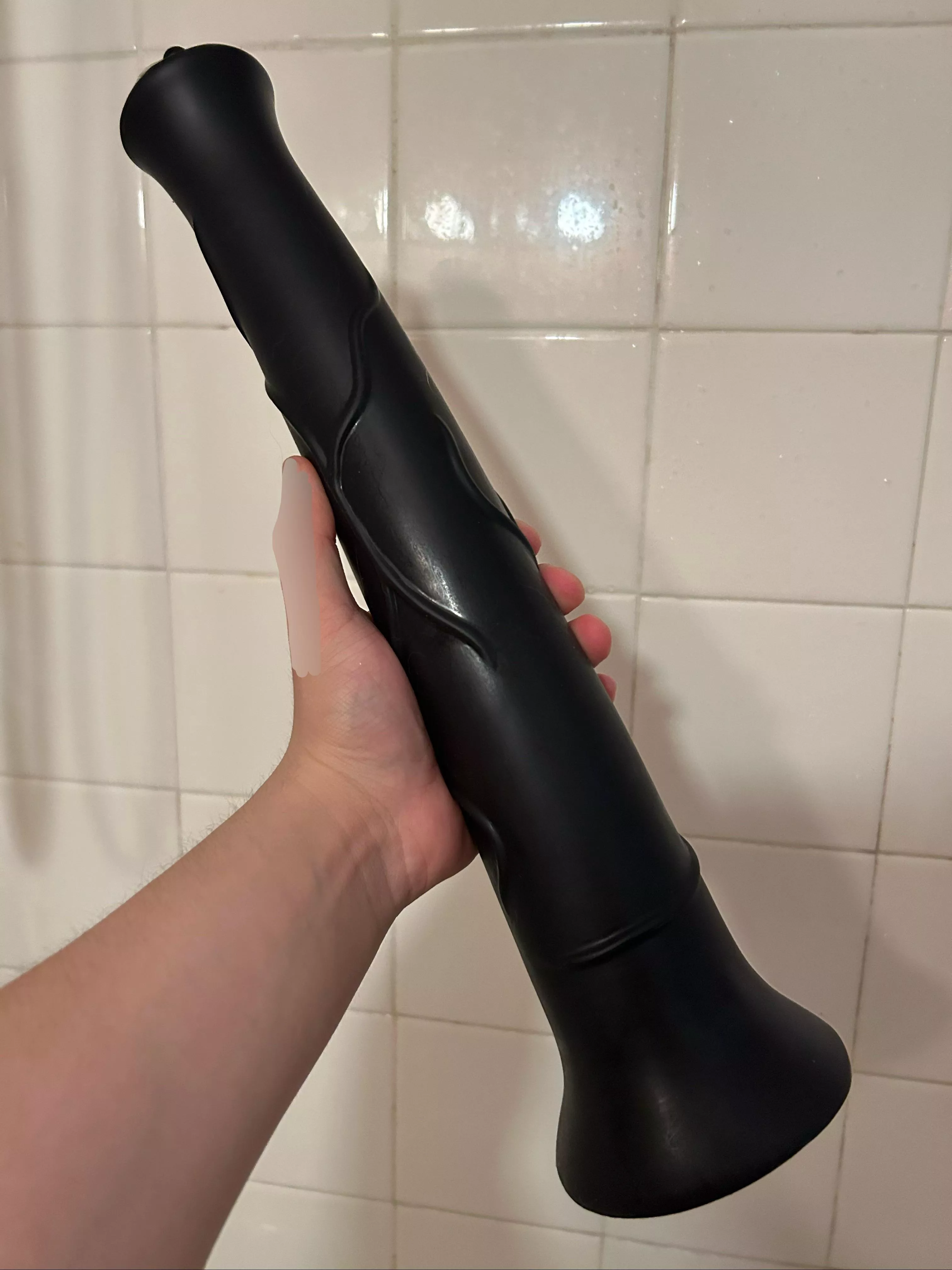 newest edition, 17”.