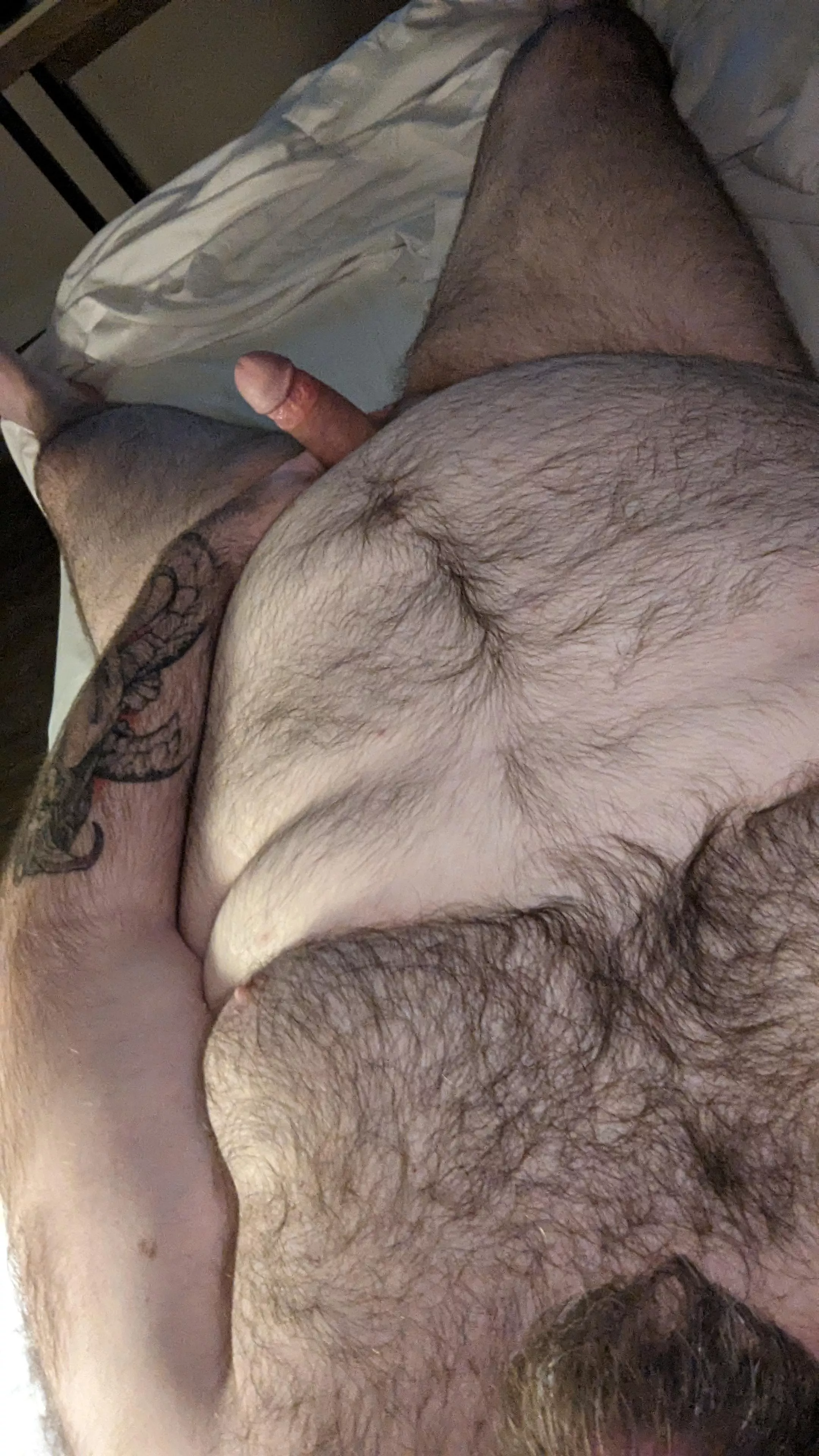 One Last Night in the Hotel