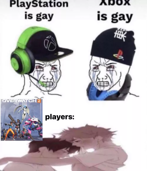 overwatch?