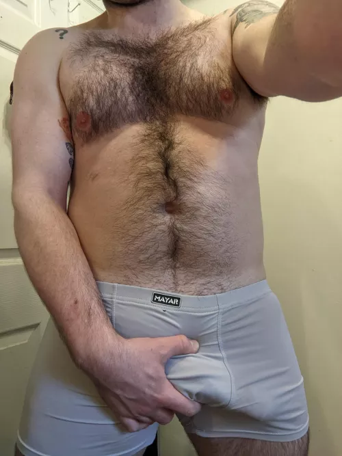 Sweaty hairy bulge