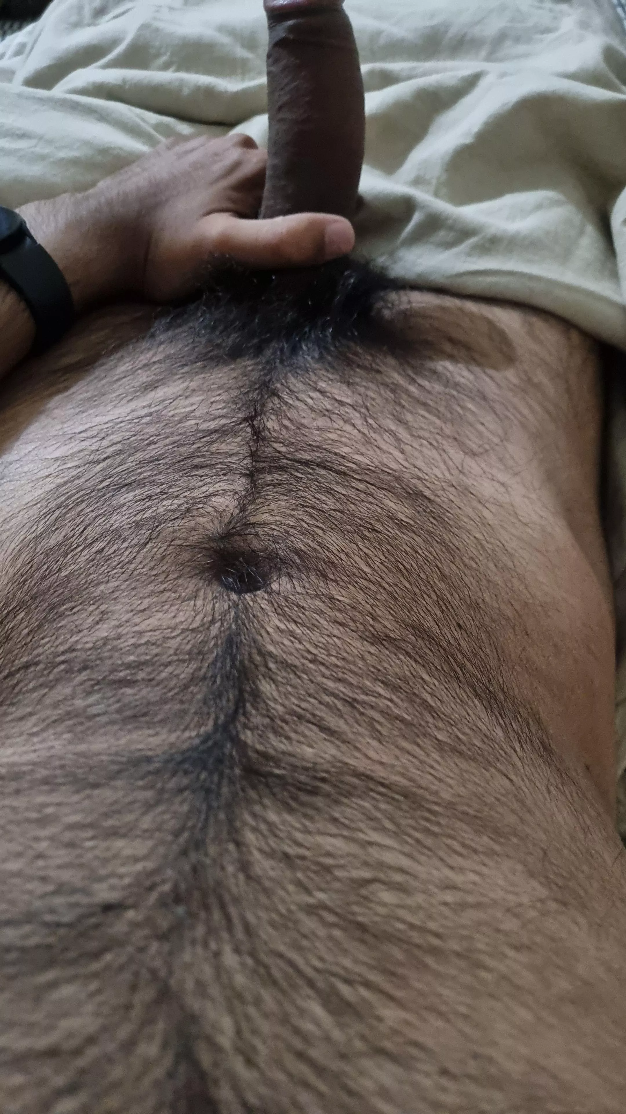 Trying to grow some bush, what you think