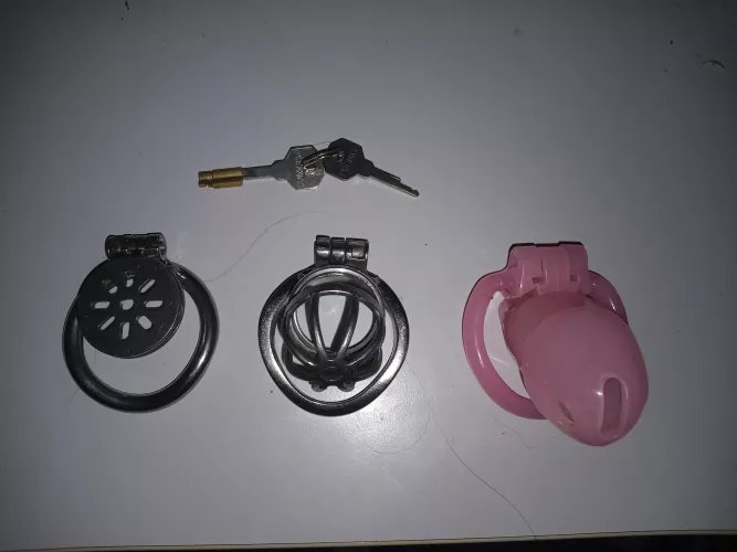 Which one should be my forever home?