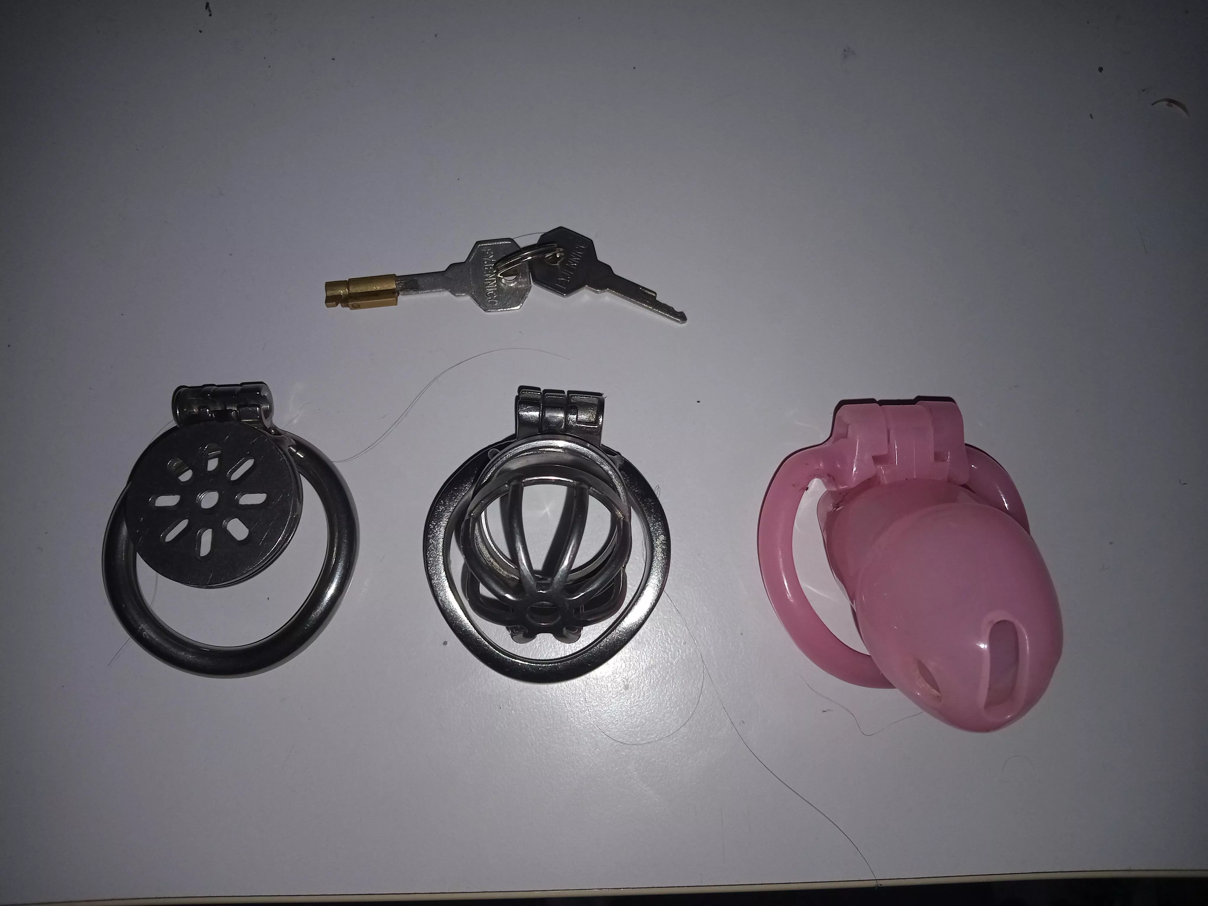 Which one should be my forever home?