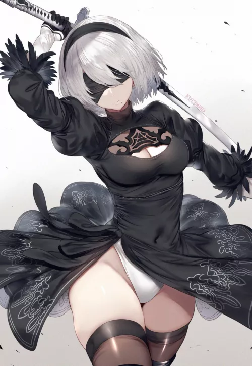 2B [Nier Automata]