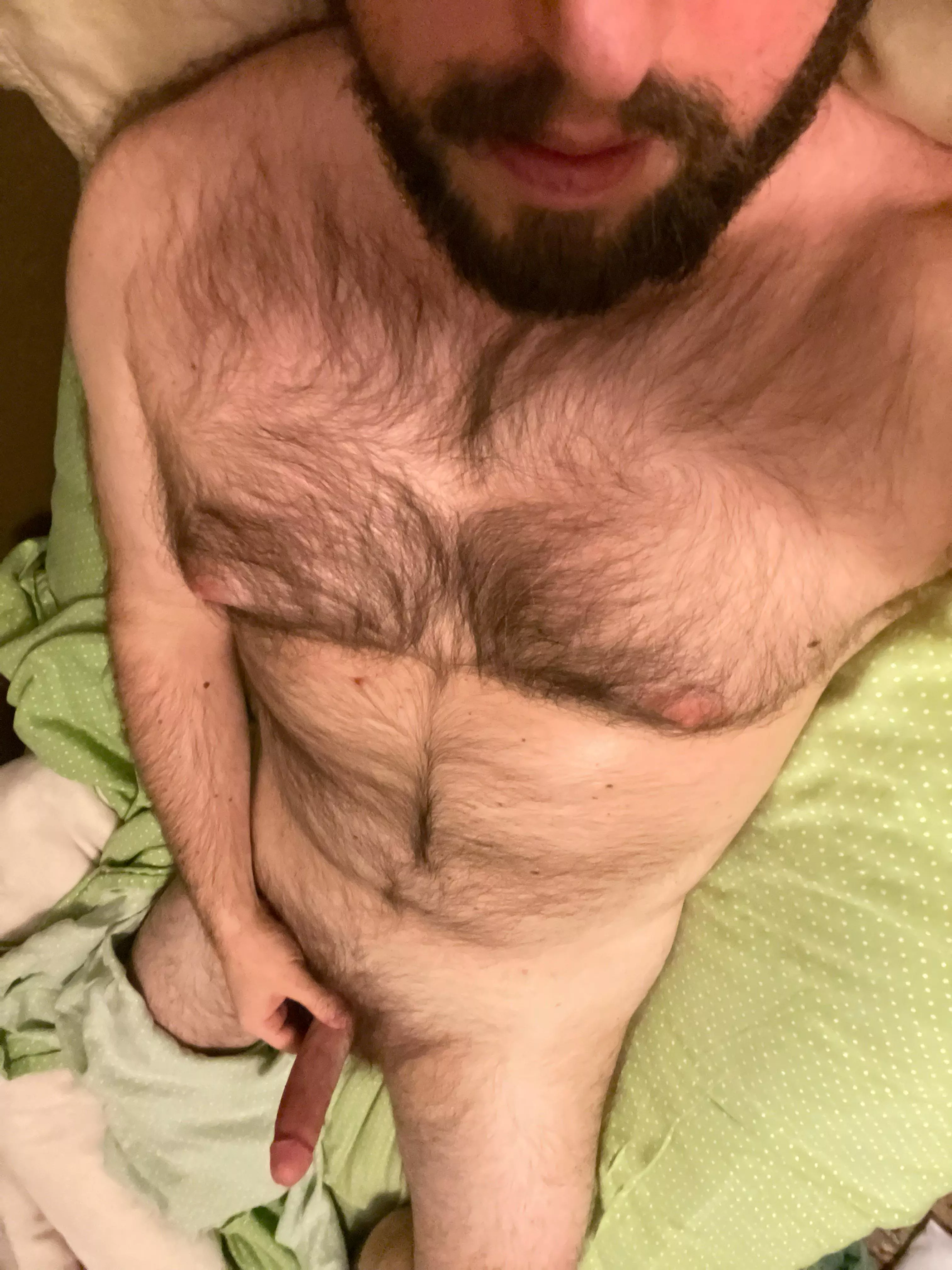 [36] hairy masculine looking to jerk with similar men
