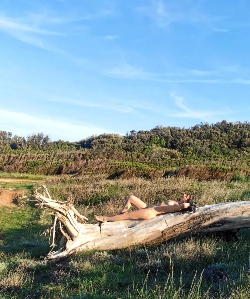 A biker drove by and I just closed my eyes and pretended I didn't see him [img] 