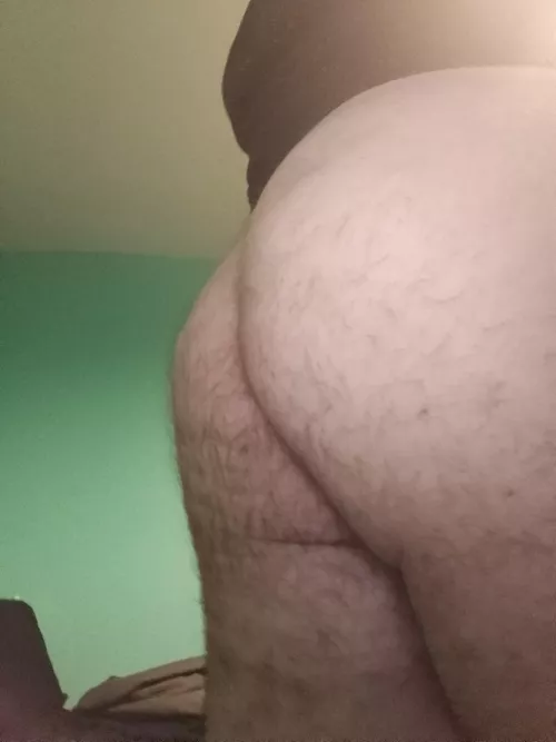 Anyone into chubby asses here?