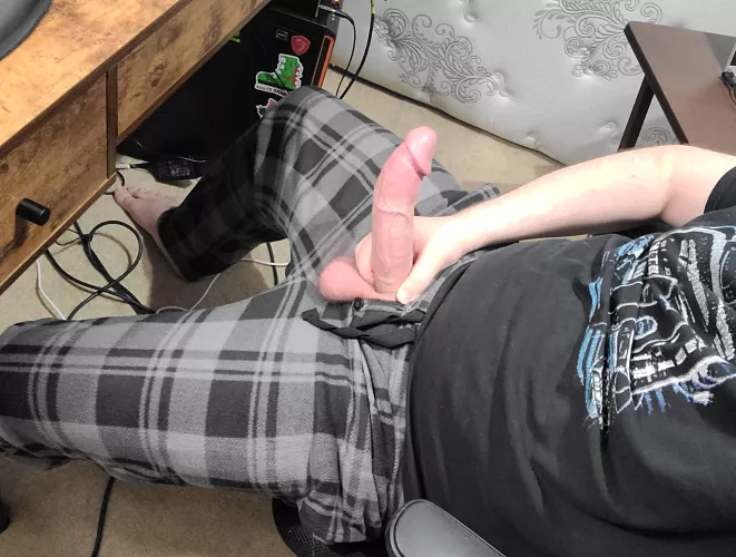 Anyone wanna be my desk pet?