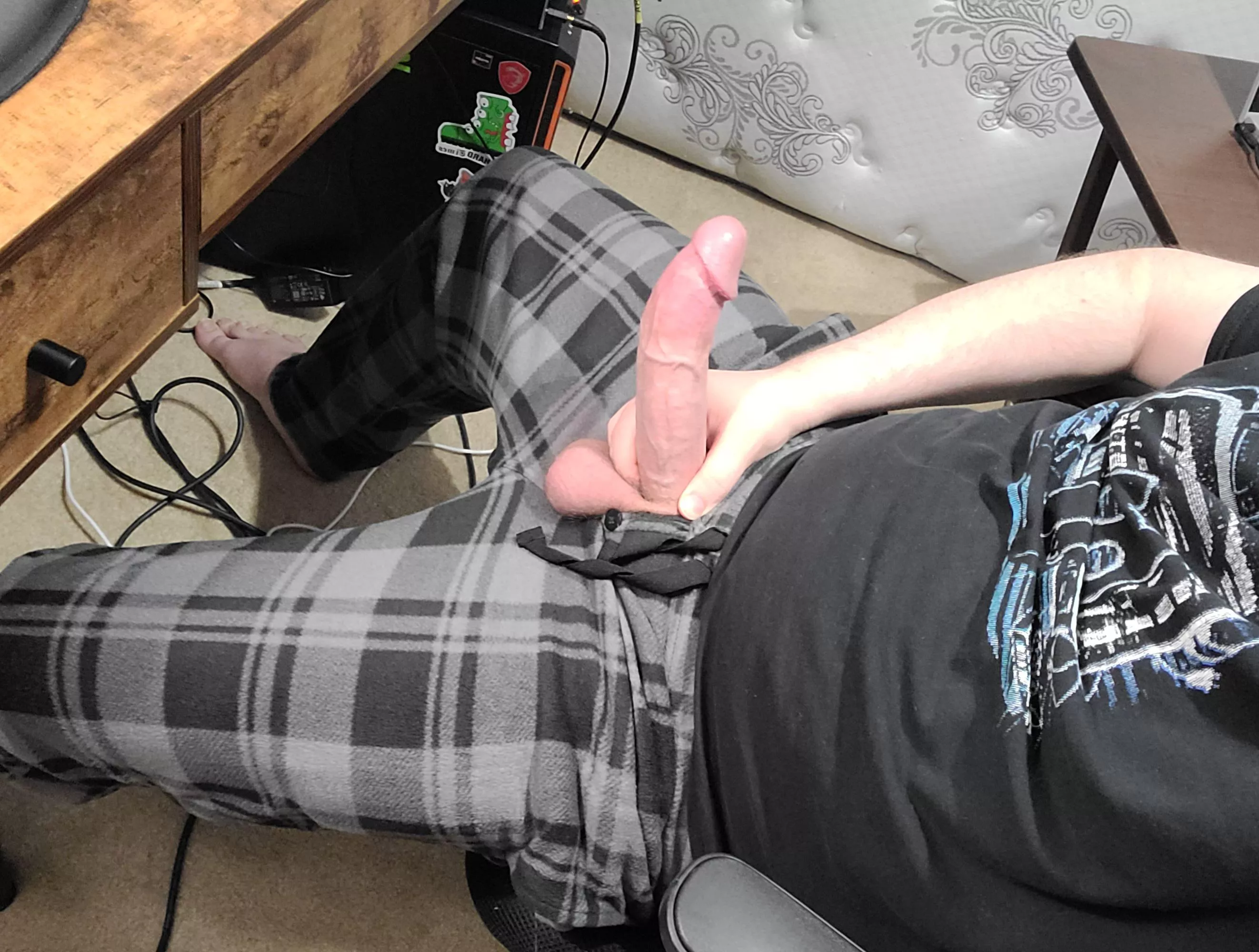 Anyone wanna be my desk pet?