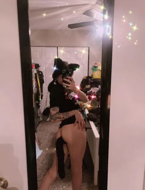 give it up for my first set of ears 👏🖤