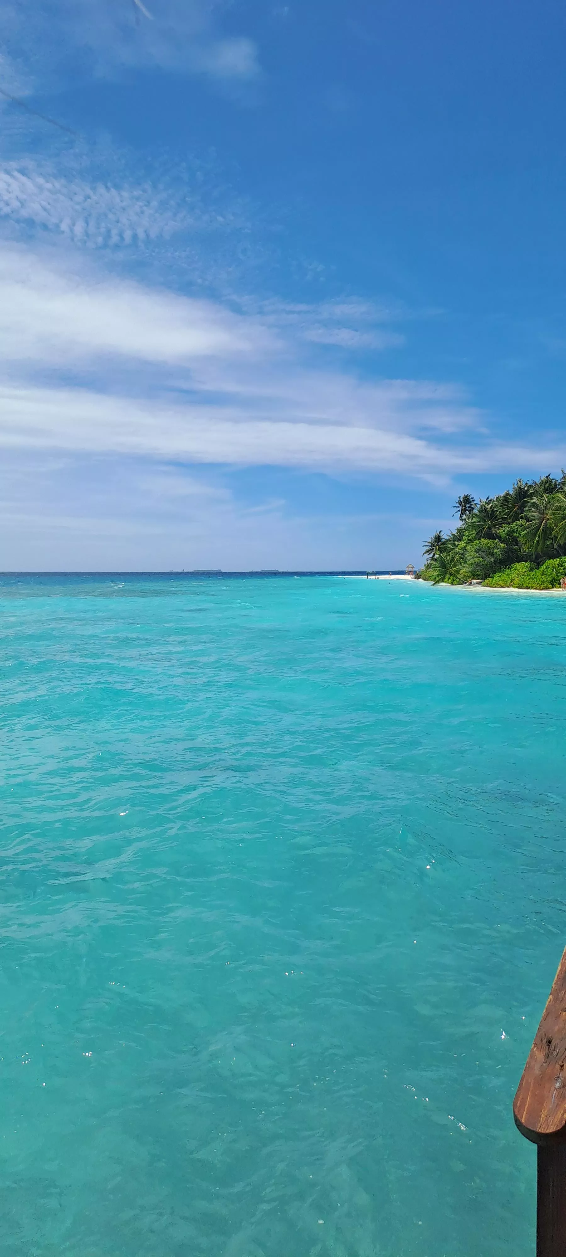 I see skies of blue, and clouds white bright bless day. What a wonderful world 