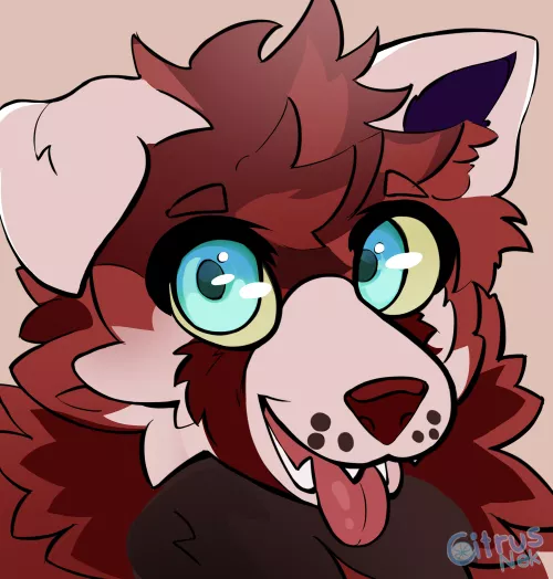 Icon Commission (toranikku)